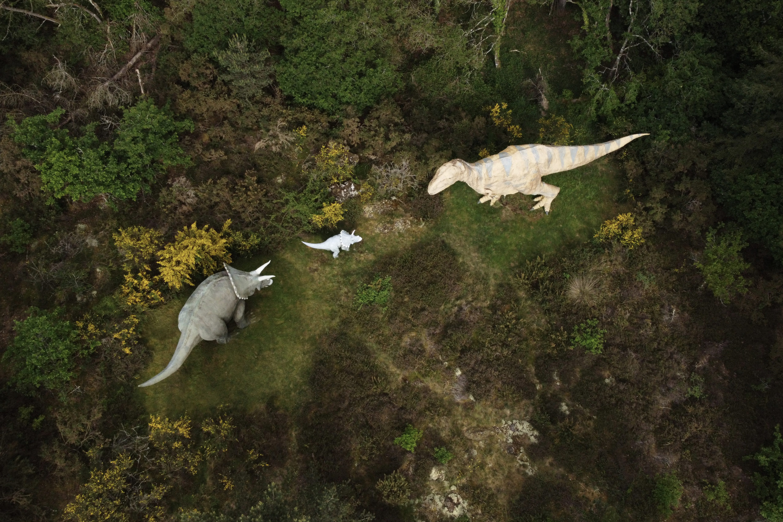 Parc Dinosaures Jessica Barras Photographe Drone